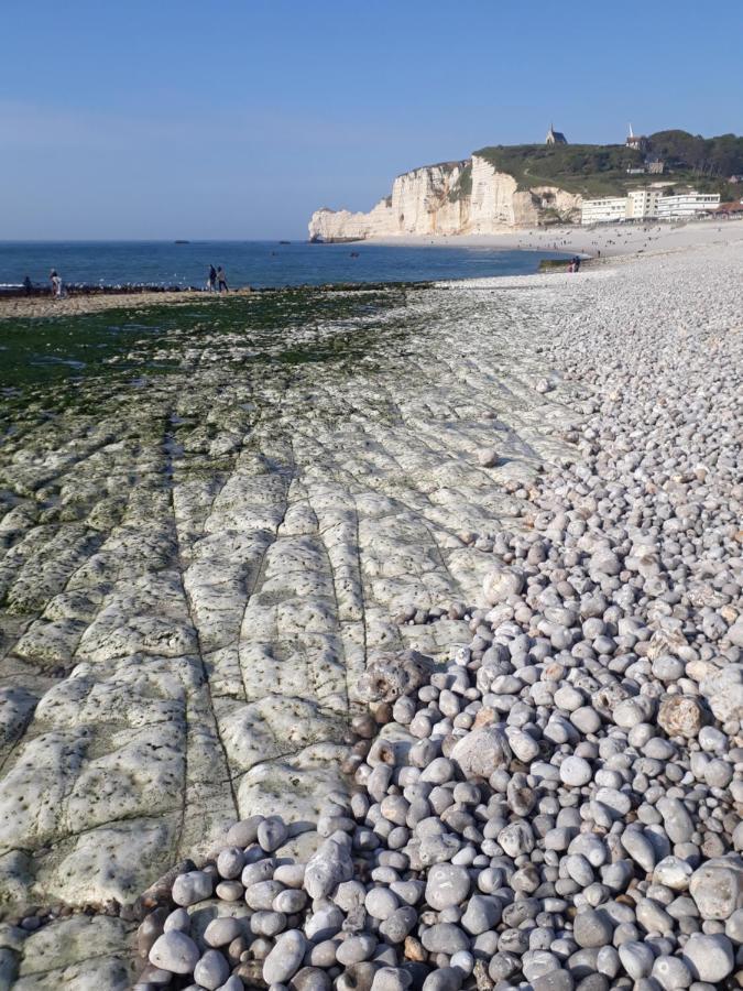 "L'Aiguille Creuse" - Tres Lumineux A 50M De La Mer - 40M2 - 6Max Étretat Zewnętrze zdjęcie